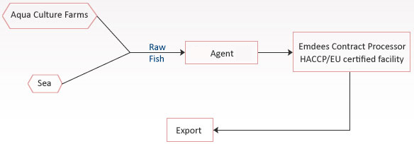 Manufacturing Proccess